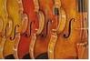 fiddler9