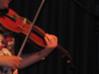 rdbviolin