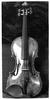 violiner