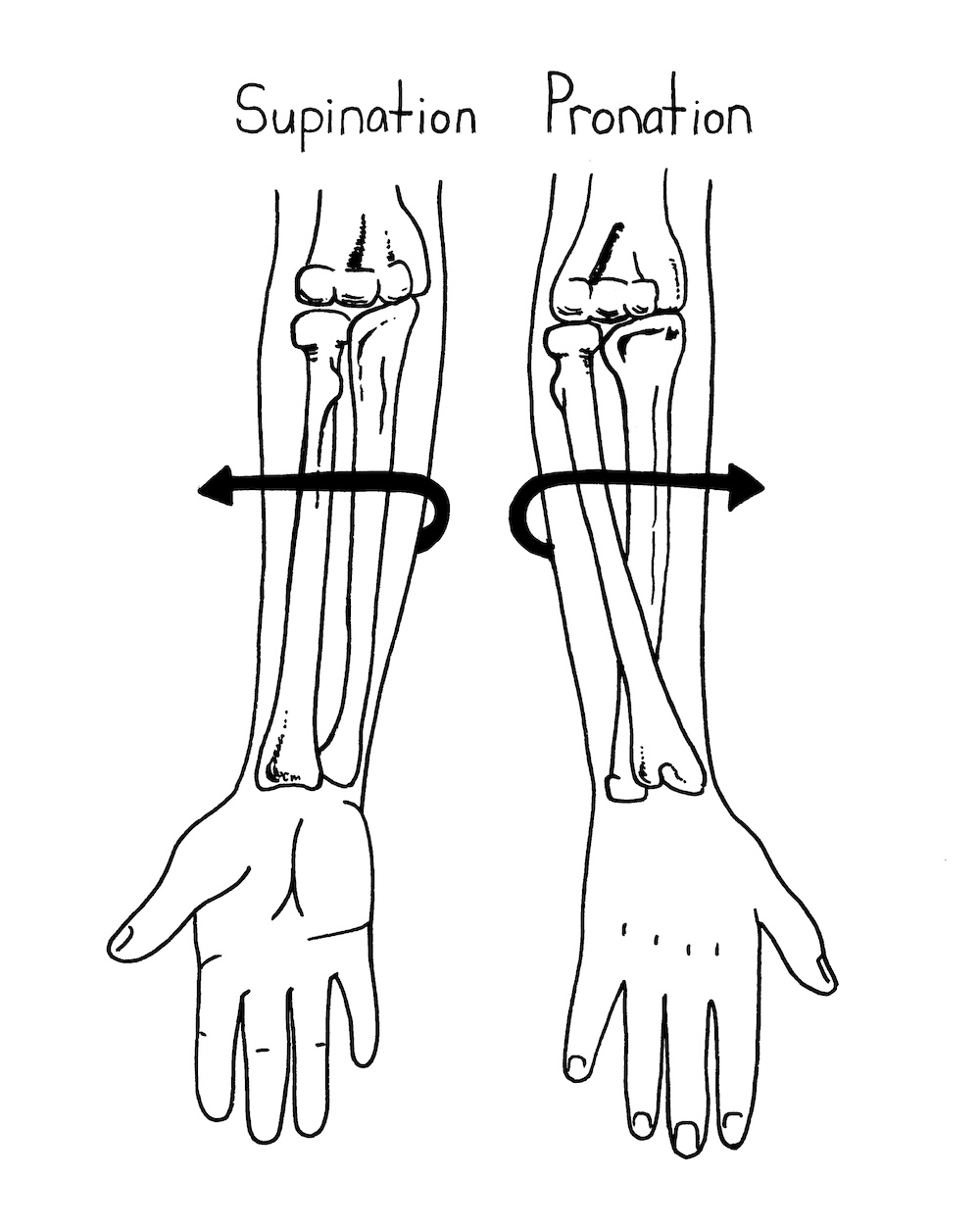 illustration 1