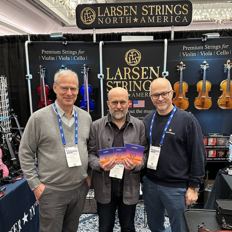 Larsen Strings