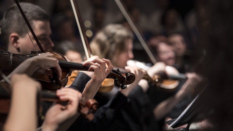 Orchestral Musicians