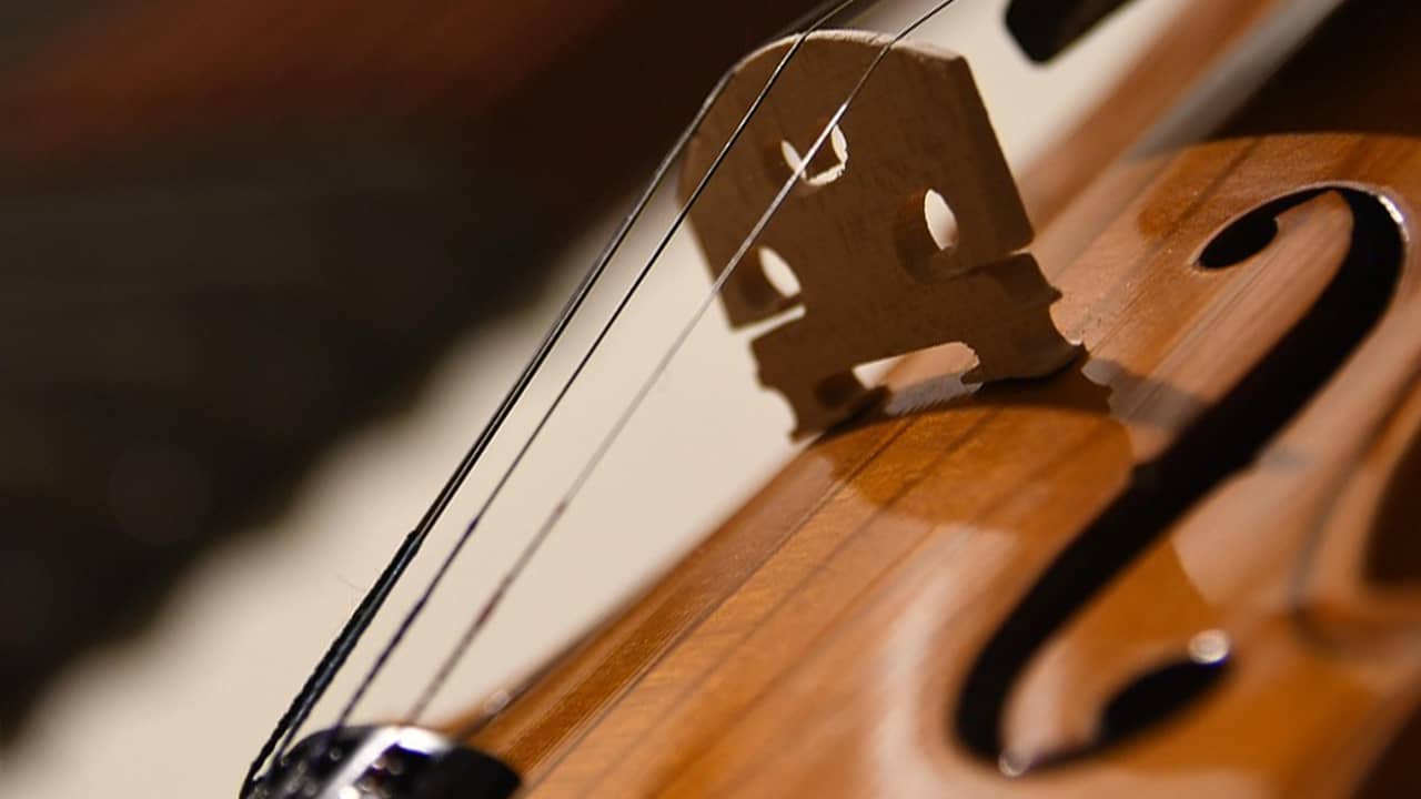 violin bridge