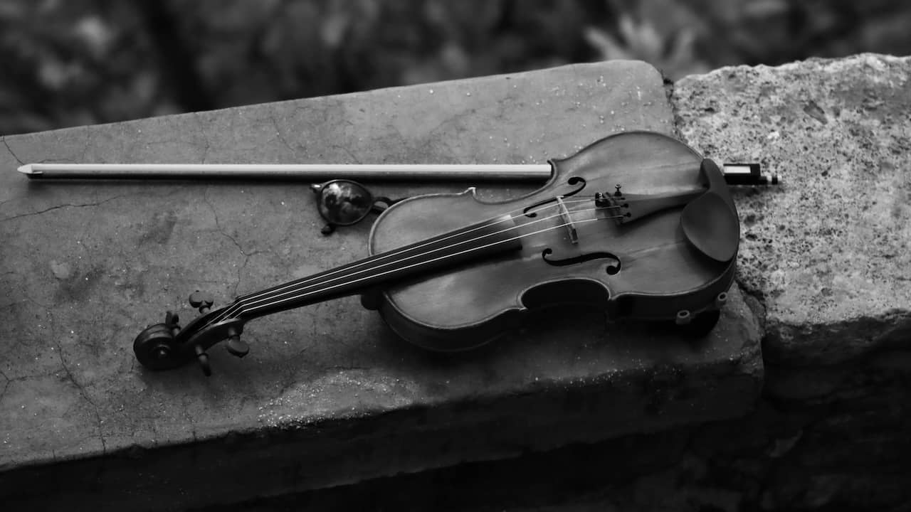 violin